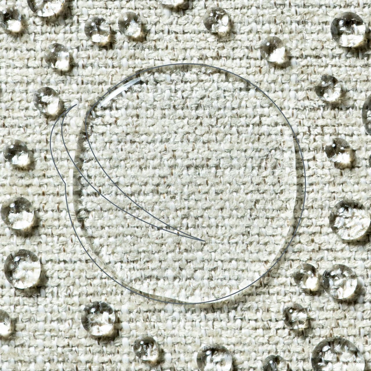 Brand Section Image