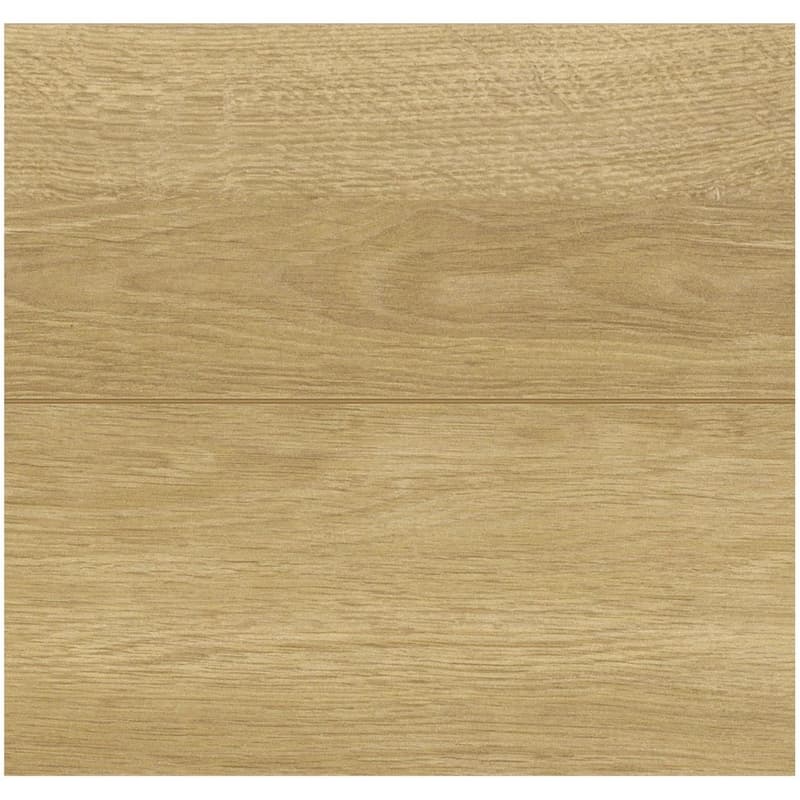 【202603/廃番】カナエル C6