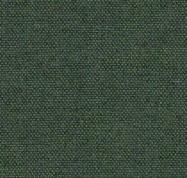 Main Line Flax