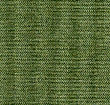 Main Line Flax