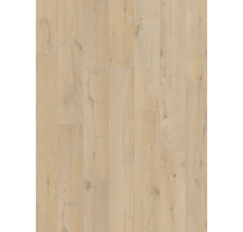 Modern Plank Sensation