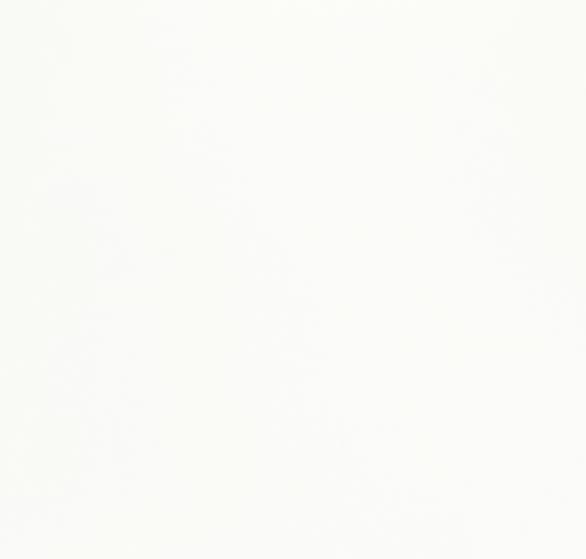 しっくいホワイト柄