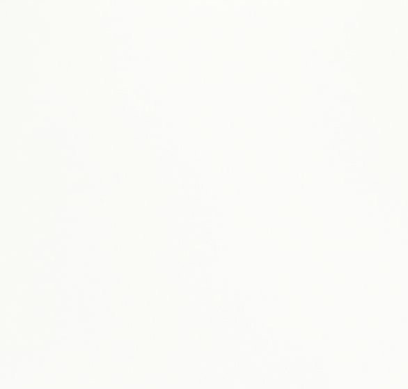 しっくいホワイト柄