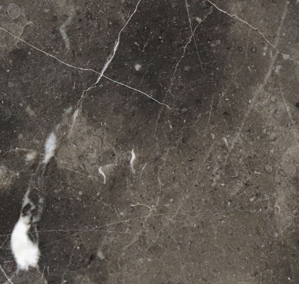 マナーズブラウン