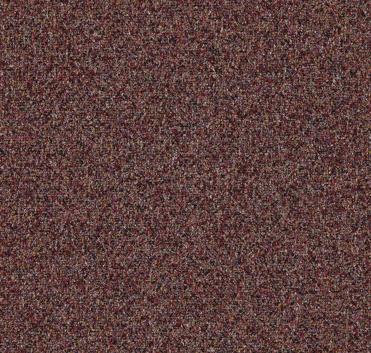 CP261