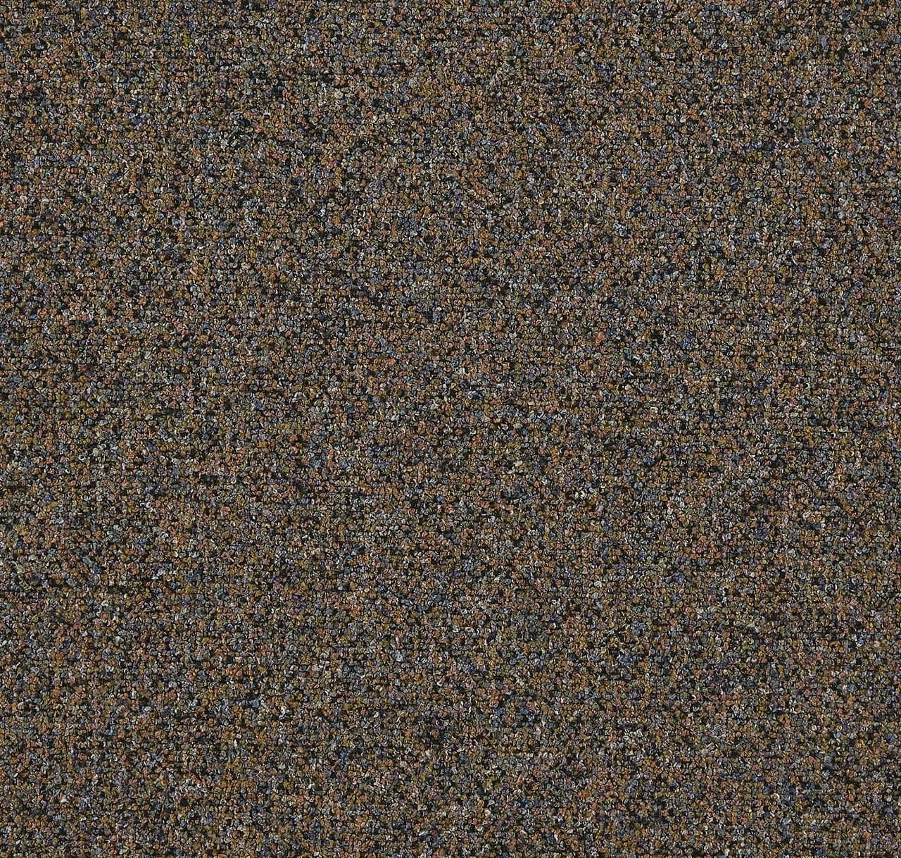 CP261