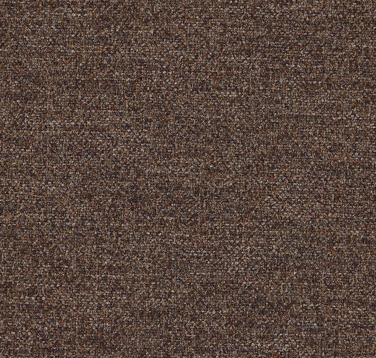 CP261