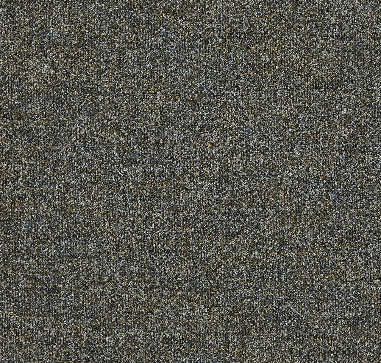 CP261