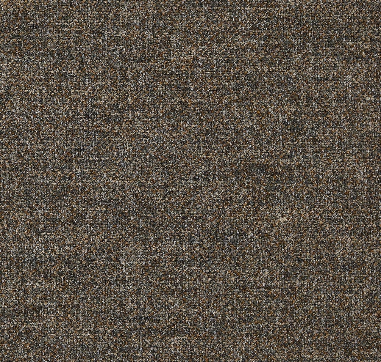 CP261