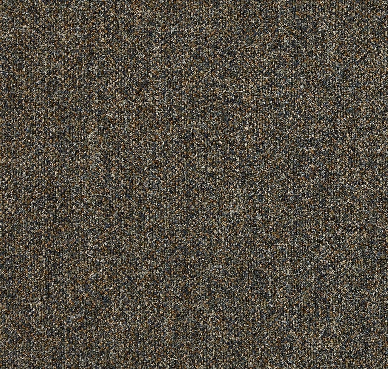 CP261