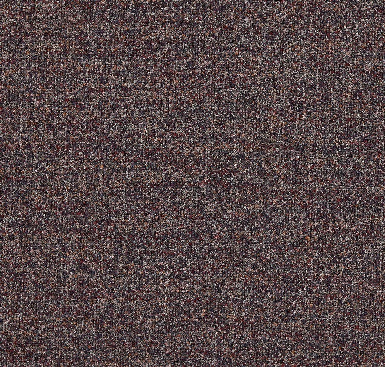 CP261
