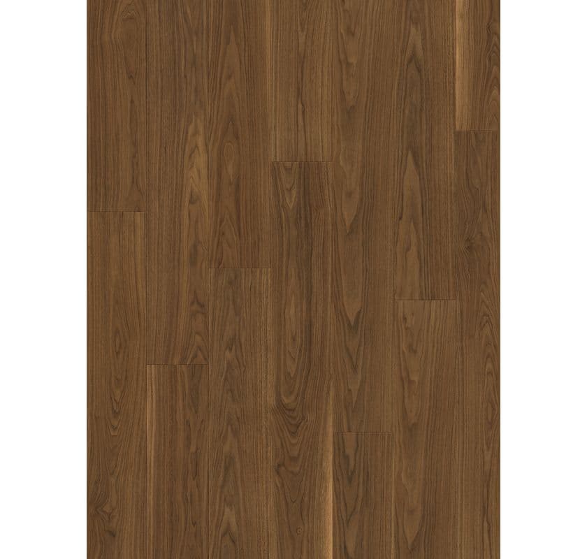 Modern Plank Sensation