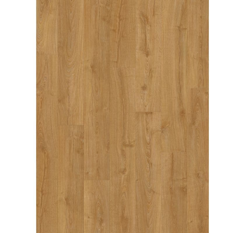 Modern Plank Sensation