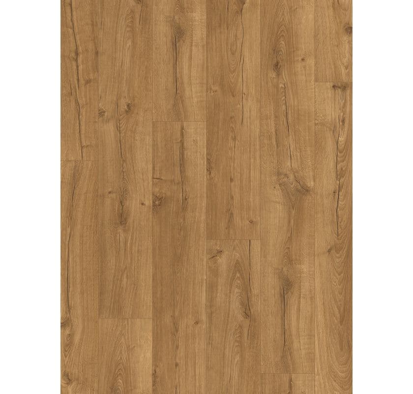 Modern Plank Sensation